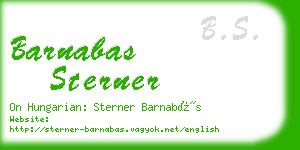 barnabas sterner business card